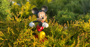 Stitch en Mickey tuinbeeld