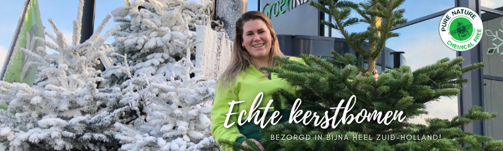 Mand beoefenaar Motivatie Een echte kerstboom online kopen | Scherp geprijsd!