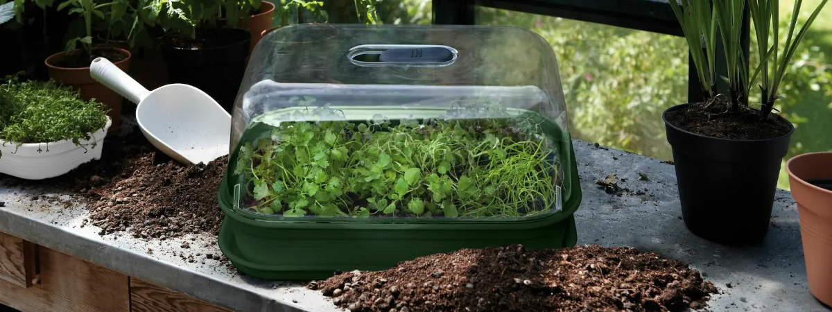 Kweken doe je met elho! Ontdek het bij de Tuinwinkel Online!