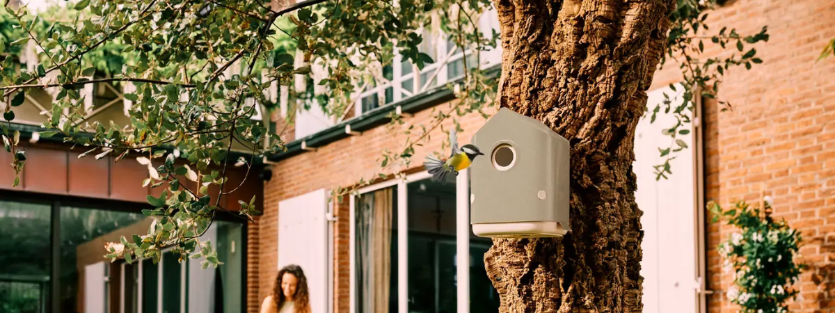 Help onze tuinvogels de winter door Help onze tuinvogels de winter door