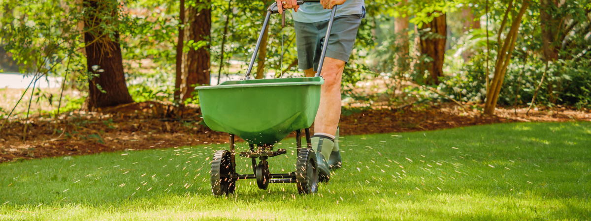 Bereid de tuin voor op de herfst | de Tuinwinkel Online