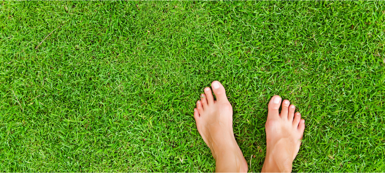 Maak je gazon klaar voor de lente! | de Tuinwinkel Online