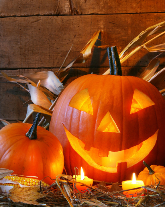 Halloween decoratie | de Tuinwinkel Online