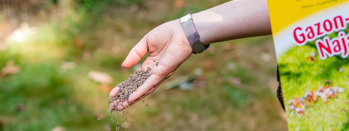 Gazon herstellen na de zomer | de Tuinwinkel Online Gazon herstellen na de zomer | de Tuinwinkel Online