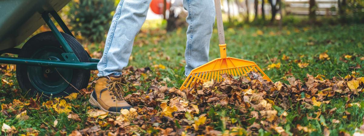 Gazon herstellen na de zomer | de Tuinwinkel Online Gazon herstellen na de zomer | de Tuinwinkel Online