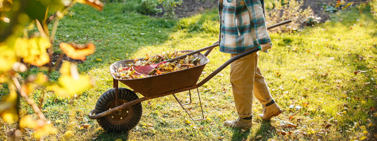 Bereid de tuin voor op de herfst | de Tuinwinkel Online