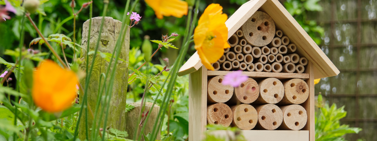 Mei, maand van de bij! De Tuinwinkel Online