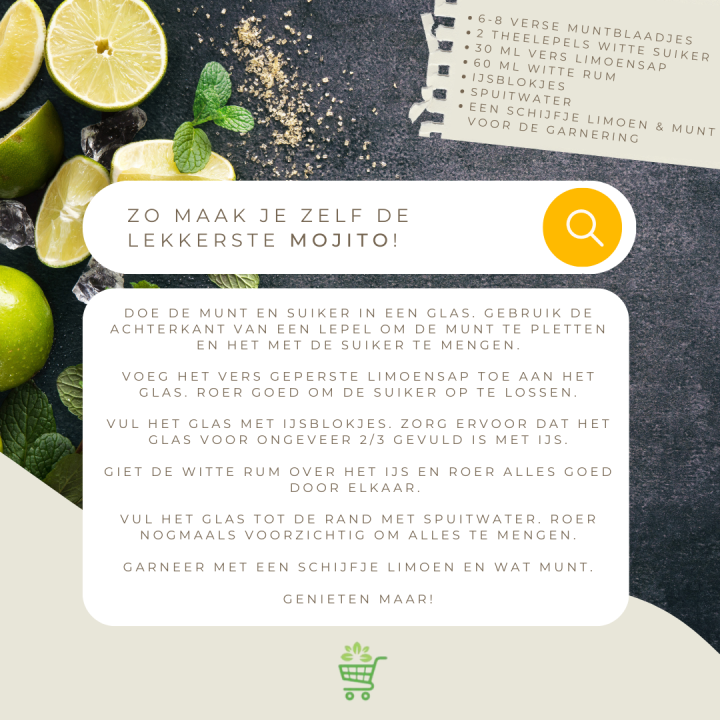 Mojito recept van deTuinwinkelOnline!