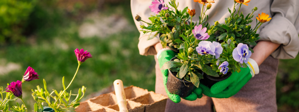 Lente op de loer: zo bereid je je tuin voor | de Tuinwinkel Online Lente op de loer: zo bereid je je tuin voor | de Tuinwinkel Online