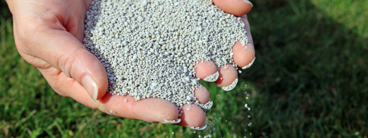 Lente op de loer: zo bereid je je tuin voor | de Tuinwinkel Online Lente op de loer: zo bereid je je tuin voor | de Tuinwinkel Online