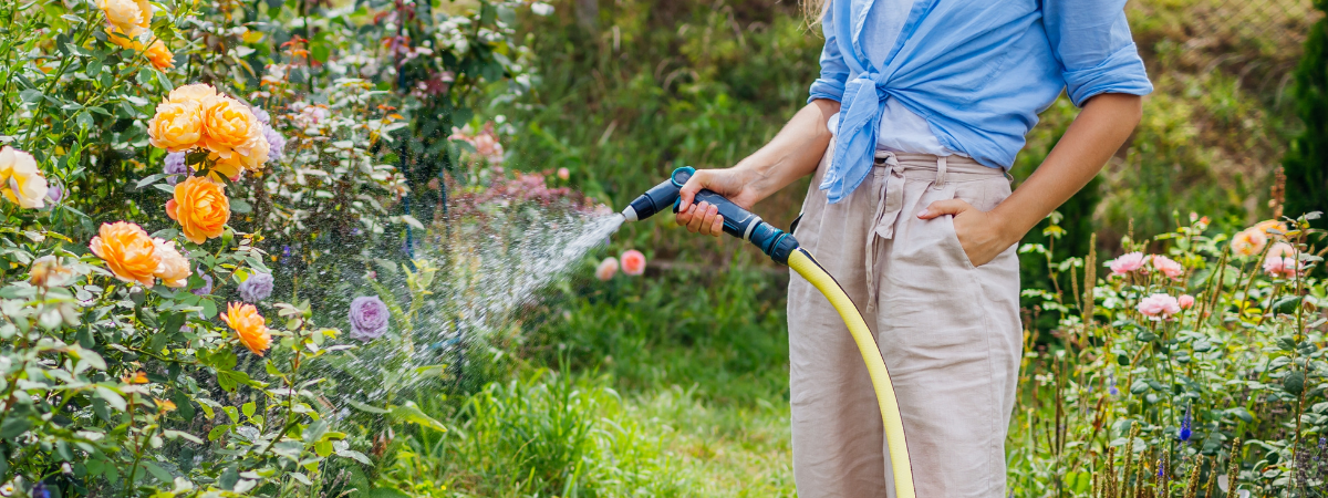 Water geven in de zomer | de Tuinwinkel Online Water geven in de zomer | de Tuinwinkel Online