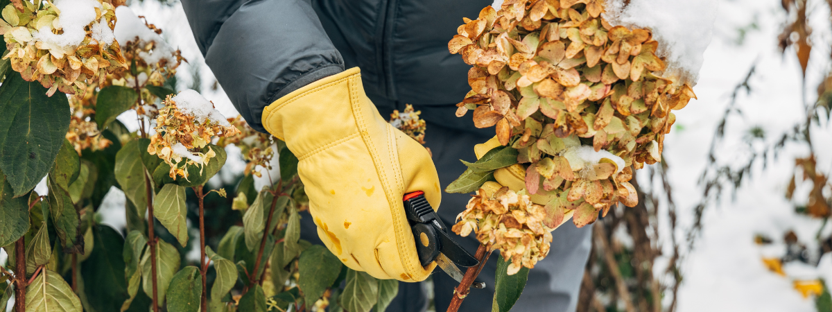 Doe de winterchecklist van deTuinwinkelOnline.nl voor een bloeiend voorjaar!