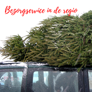 Kerstboom kopen Den Haag met bezorgservice
