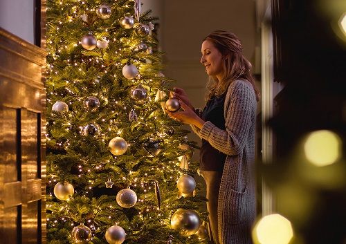 Vegen Cyberruimte toonhoogte Hoeveel lampjes in je kerstboom | Haal kerst in huis! - De Tuinwinkel  online tuincentrum - GroenRijk Rijswijk