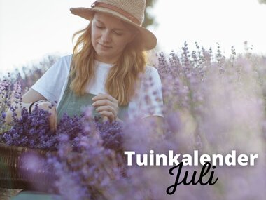 Tuinkalender Juli