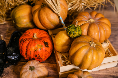 Tuinkalender november