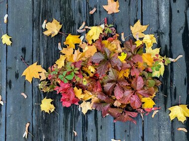 Tuinkalender oktober