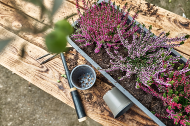 Tuinkalender September