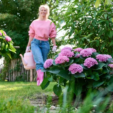 Water geven in de zomer: dit zijn dé tips