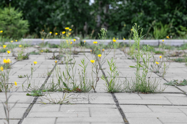 Zó maak je je terras klaar voor het buitenseizoen!