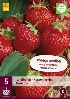 Aardbei Fragaria Honeoye 5st