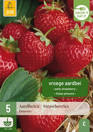 Aardbei Fragaria Honeoye 5st