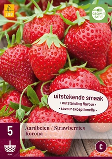 Aardbei Fragaria Korona 5st