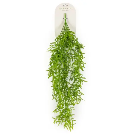 Adelaarsvaren Hangend 25cm Groen