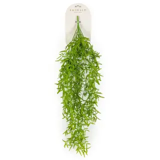 Adelaarsvaren Hangend 25cm Groen