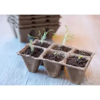 Nature Kweekpottrays 6-vaks 5x5x5cm (10 stuks) - afbeelding 4