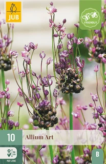 Allium Art - 10 bloembollen