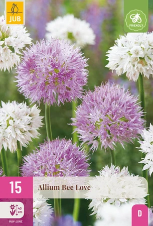 Allium Bee Love - 15 bloembollen