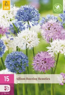 Allium Buzzing Beauties - 15 bloembollen
