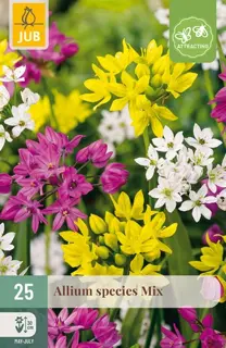 Alliumbollen Species Mix - 25 stuks
