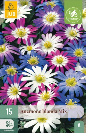 Anemone blanda Mix - 15 bloembollen