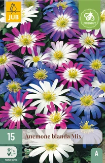Anemone blanda Mix - 15 bloembollen