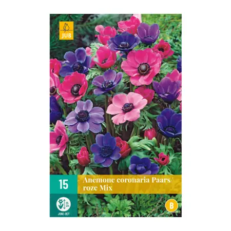 Anemone Coronaria Paars/roze Mix 15st