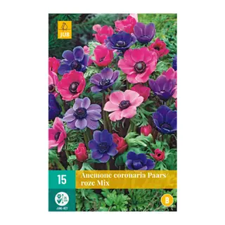 Anemone Coronaria Paars/roze Mix 15st