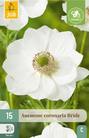 Anemone Coronaria Bride - 15 bloembollen
