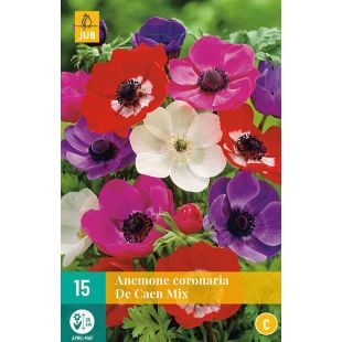 Anemone coronaria De Caen Mix - 15 bloembollen