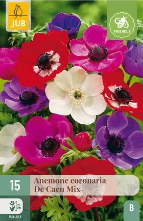 Anemone Coronaria De Caen Mix - 15 bloembollen