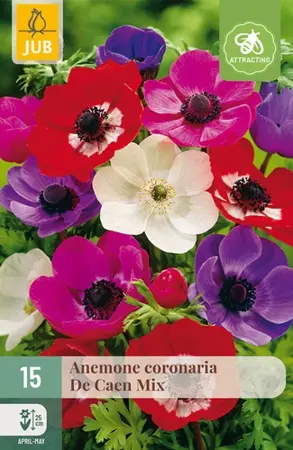 Anemone coronaria De Caen Mix - 15 bloembollen
