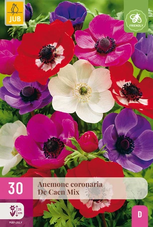 Anemone De Caen Mix - 30 bloembollen