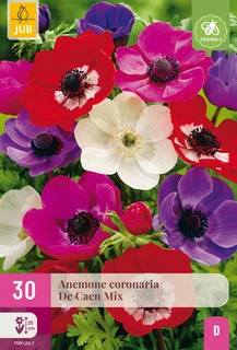 Anemone De Caen Mix - 30 bloembollen