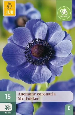 Anemone Coronaria Mr. Fokker - 15 bloembollen