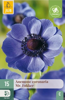 Anemone Coronaria Mr. Fokker - 15 bloembollen