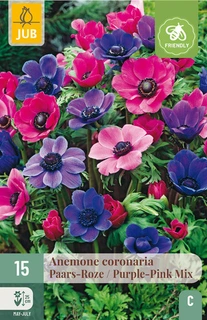 Anemone Coronaria Paars/Roze Mix - 15 bloembollen