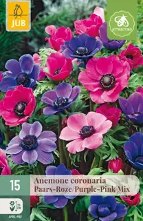 Anemone coronaria Paars-Roze Mix - 15 bloembollen