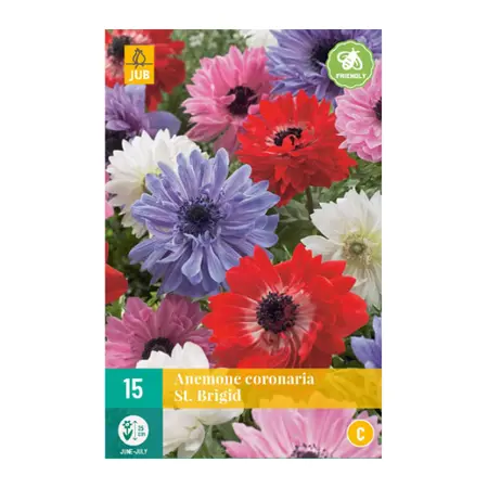Anemone Coronaria St. Brigid - 15 bloembollen