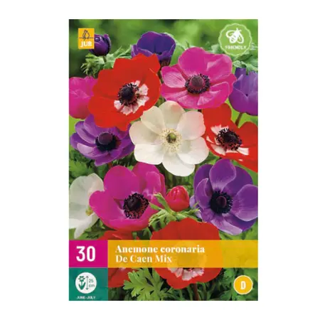 Anemone De Caen Mix 30st